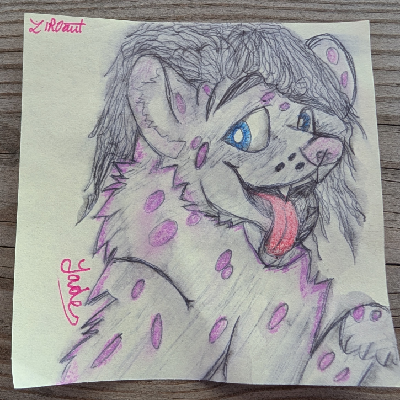 zentibel@catcatnya.com zentibel@catcatnya.com