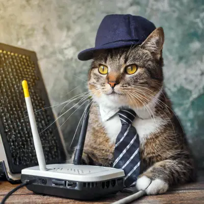 sikorski@catcatnya.com